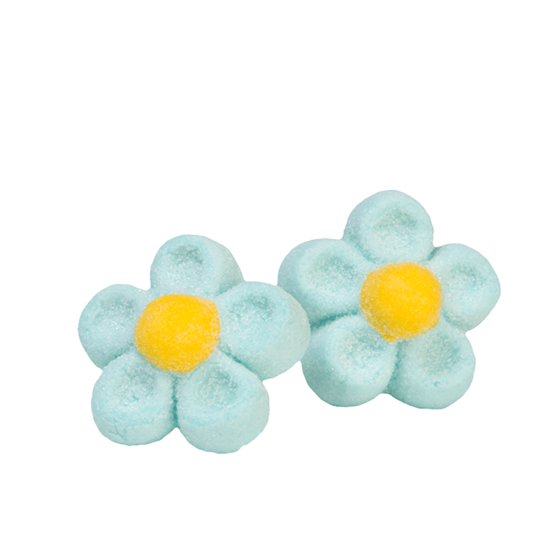 Bulgari Agostino Marshmallow - 3D blue daisies